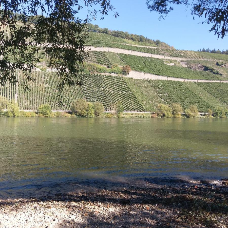 Fewo Sonnenlay - Apartments An Der Mosel 브라운버그 외부 사진
